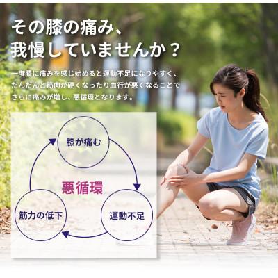 ふるさと納税 彦根市 低周波治療器 膝マッサージ+ひざサポーター Medi Labo |  | 01