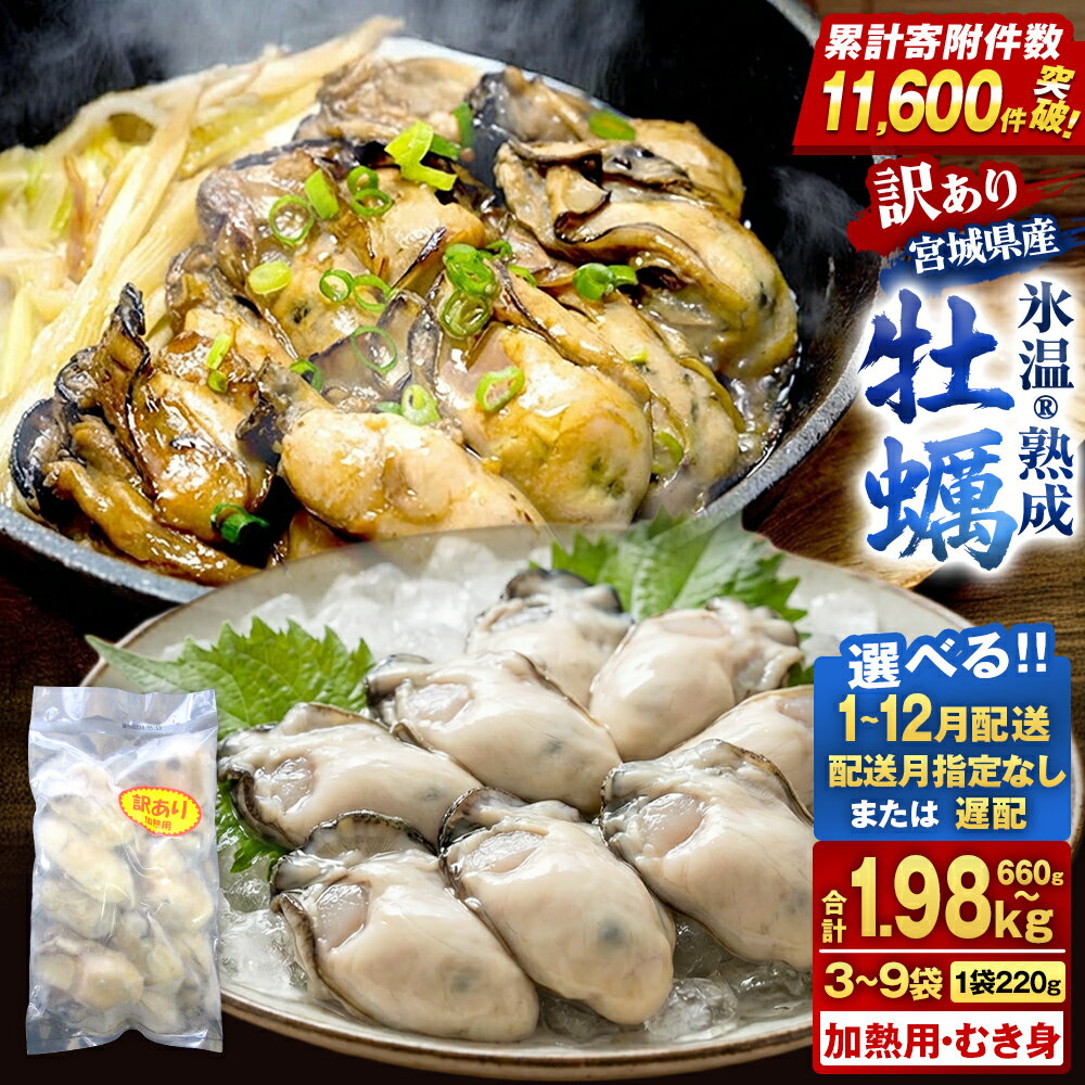 【ふるさと納税】《内容量・配送月が選べる》牡蠣 ＜訳あり＞ 氷温熟成 かき 220g × 3パック 6パック 9パック 加熱用 むき身 冷凍 バラ冷凍 個包装 カキ 不揃い 魚貝類 貝類 海の幸 BBQ バーベキュー 海の幸 おつまみ 宮城県 石巻市 石巻 宮城 まるたか水産