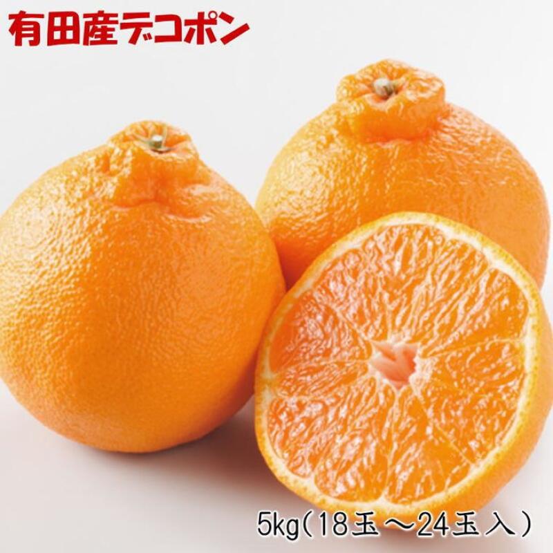 【ふるさと納税】【限定】【2026年先行予約】 【お味濃厚】紀州有田産 の デコポン 約5kg (18玉～24玉入り・青秀以上)