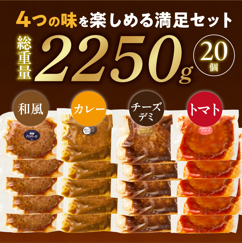 ハンバーグ食べ比べ20個セット_4種 20個 チーズデミ 和風 トマトソース カレーソース ハンバーグ 各5個 冷凍 温めるだけ 湯煎 レンジ 電子レンジ バラエティ 個包装 小分け 食べ比べ お弁当