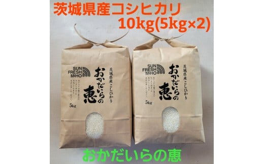 令和7年産 コシヒカリ10kg（5kg×2）『おかだいらの恵』