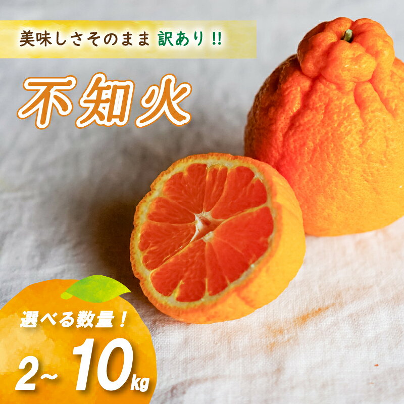 【ふるさと納税】 【2027年2月中旬頃から順次発送】 訳あり 不知火 2kg / 5kg /10kg ( 数量選択可 国産 愛媛みかん 愛媛蜜柑 愛媛ミカン みかん ミカン mikan 蜜柑 柑橘 フルーツ 果物 くだもの お取り寄せ 産地直送 数量限定 人気 おすすめ 愛媛県 松山市 送料無料 )
