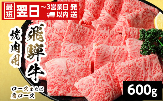 
                  【発送時期が選べる】 飛騨牛 ロースまたは肩ロース 焼肉用 600g 岐阜県産 焼肉 黒毛和牛 カタロース 霜降り 牛肉 牛 国産 お取り寄せ ごちそう 自宅用 和牛 最短発送 養老ミート
                