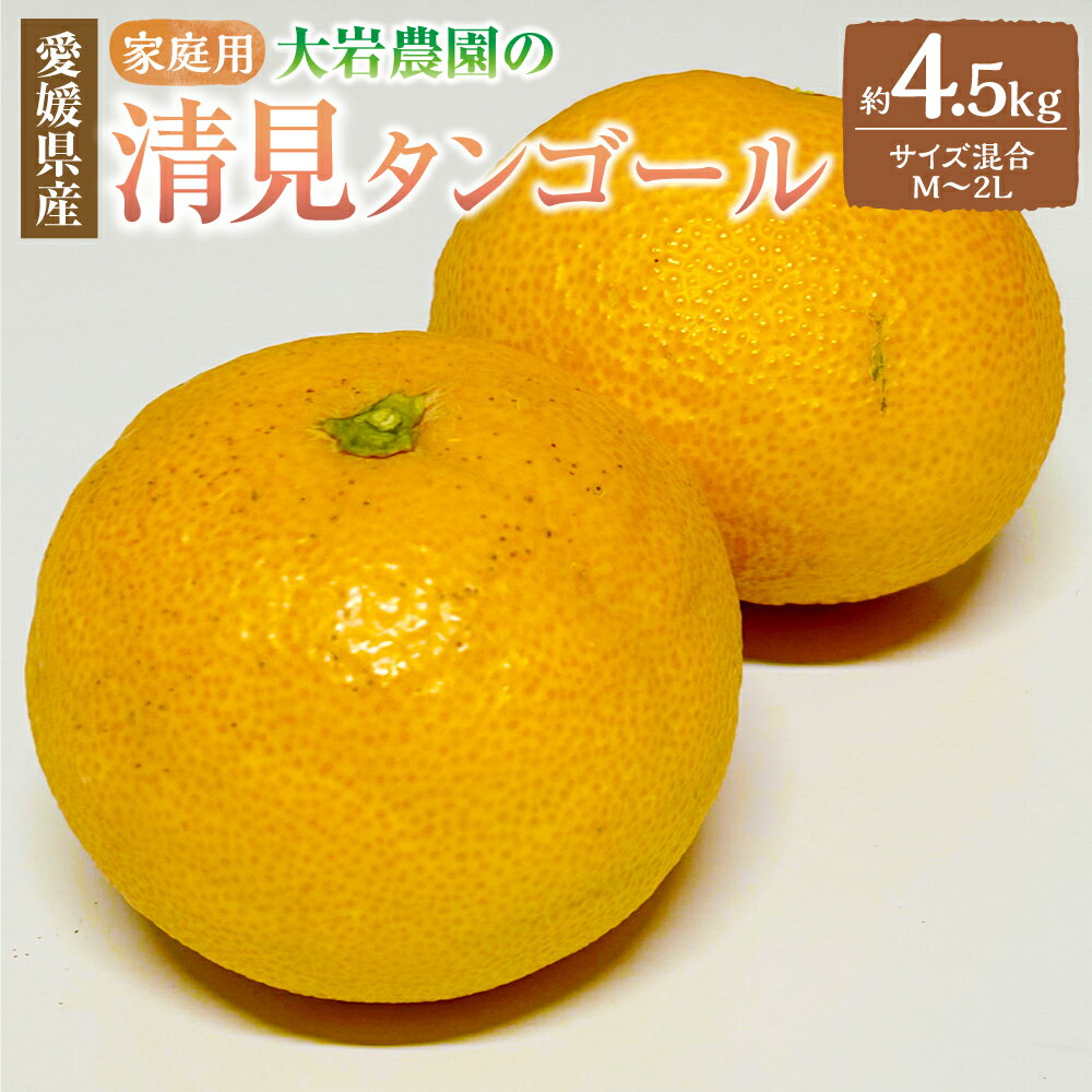 【ふるさと納税】大岩農園の清見タンゴール 家庭用 約4.5kg M～2Lサイズ 清見タンゴール みかん 蜜柑 柑橘類 柑橘 フルーツ 果物 お取り寄せ 愛媛県 送料無料 (491)【2027年3月上旬-4月上旬発送予定】【えひめの町（超）推し！（伊方町）】