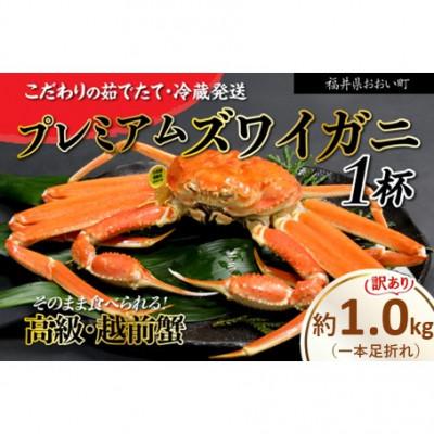 ふるさと納税 おおい町 訳アリ【2026年12月より順次発送】越前ガニ 約1kg 濃厚な味噌と身が詰まったズワイガニをお届け