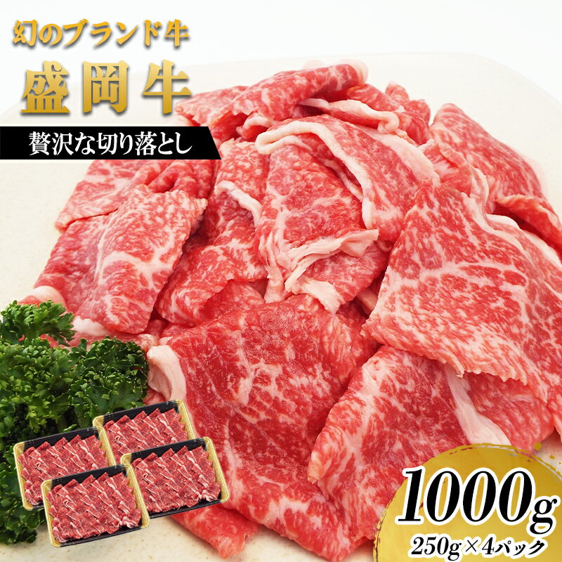 【ふるさと納税】 盛岡牛 切り落とし 1kg 250g×4p 冷凍 盛岡産 黒毛和牛 国産 希少 霜降り 高級 贅沢 和牛 ブランド牛 赤身 切落し 赤身切り落とし ぎゅうにく 岩手県 盛岡市 東北 岩手 盛岡 有限会社トゥレイス