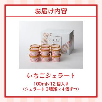いちごジェラート詰め合わせ(12個入り)_いちご ジェラート 3種類 × 各 4個 100ml 計 12個 詰め合わせ プレミアム いちごミルク あまおう ヨーグルト ホワイトショコラ 紅ほっぺ 煌め