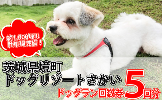 
                  K1913 茨城県境町 広々1000坪！ ドッグラン 回数券（５回分）１回分お得！ 茨城県 境町
                