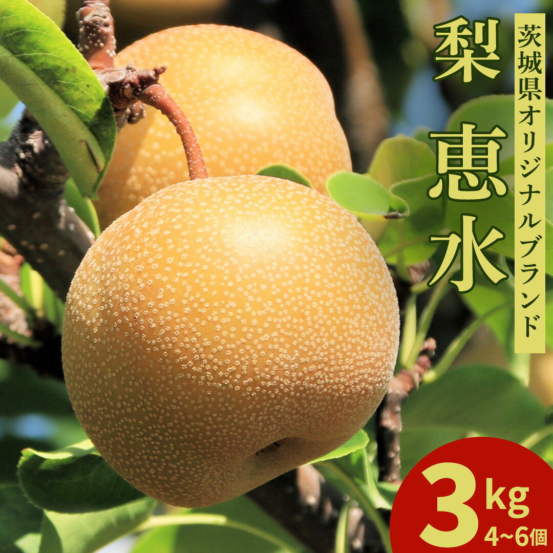 【ふるさと納税】恵水 大玉サイズ 約3kg 4〜6個 梨 茨城県オリジナルブランド品種 2026年発送 完熟 フルーツ 果物 産地直送 糖度 高い 梨 茨城 人気
