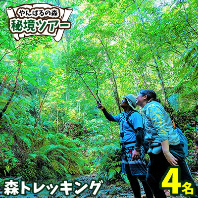 【ふるさと納税】やんばるの森　秘境ツアー【森トレッキング】4名様 やんばる アドベンチャー 秘境 冒険 探検 トレッキング ガイド付き 山歩き カヤック 珍しい生き物 やんばる国立公園 亜熱帯 ジャングル 安心 手軽に参加 非日常 特別