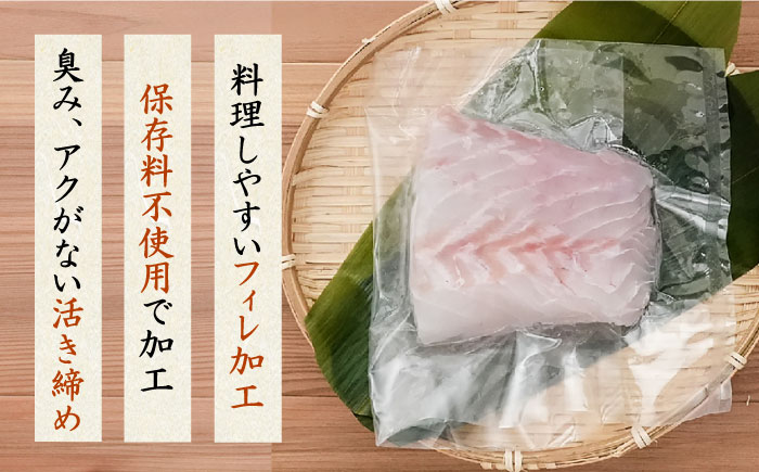 【ANA限定】ヒラマサ、クエ 2人前 壱岐玄海船団丸の魚（切り身）セット ～ANAシェフ和食レシピ付き～[JFC004]