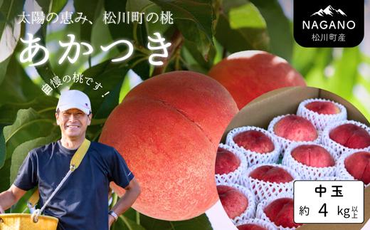 KM02 桃 あかつき 中玉 約4kg以上（12～16玉）贈答 ／2026年7月中旬頃～配送予定 ｜ 長野県 南信州 松川町 モモ 贈答 産地直送 新鮮  もも 甘い 冷蔵便 クール便