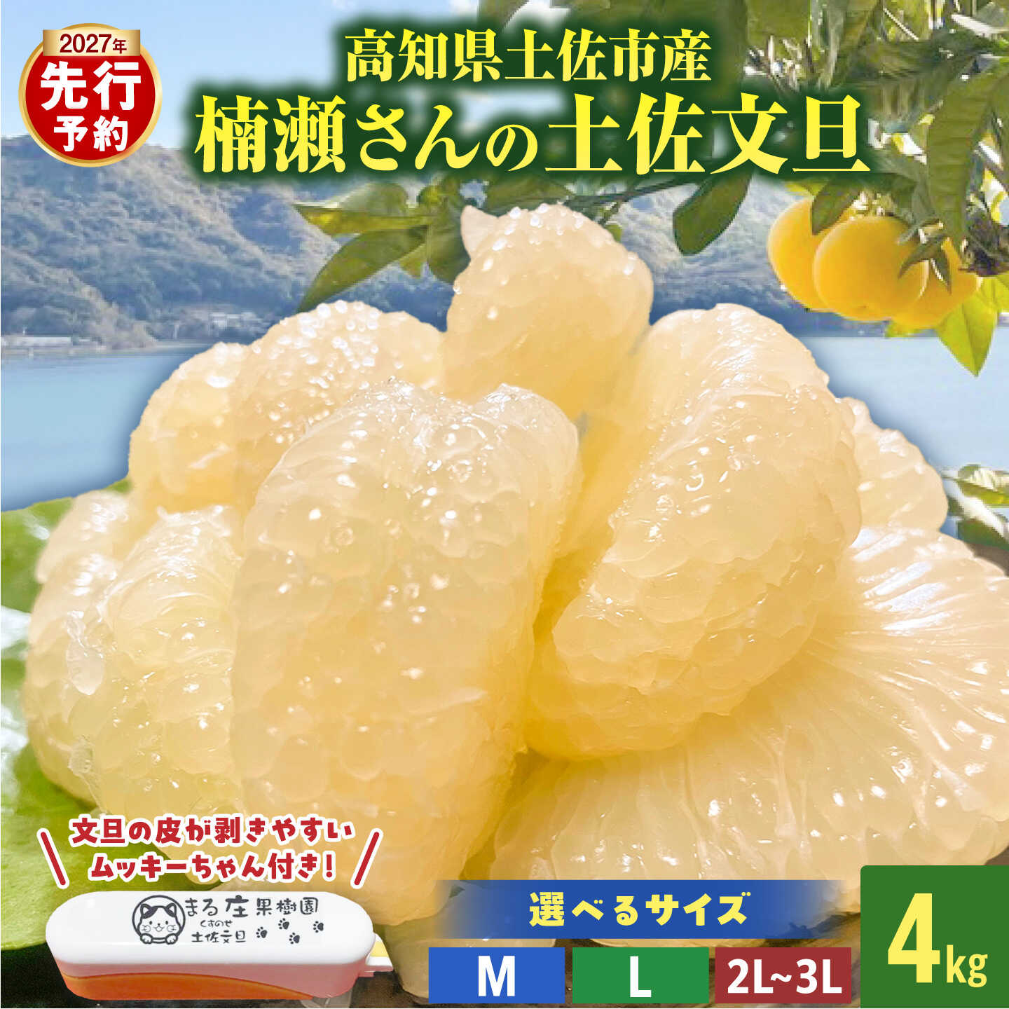 【ふるさと納税】【先行予約】楠瀬さん土佐文旦 約4kg Mサイズ Lサイズ 2L～3Lサイズ〈2027年2月15日〜2027年4月5日発送〉 猫ムッキーちゃん入り 12玉前後 ぶんたん ブンタン フルーツ 柑橘 みかん 果物 くだもの 柑橘類 デザート 贈答用【まる庄果樹園】[BQAF015]