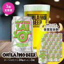 【ふるさと納税】【3回定期便】ヌーベルセゾン24本 クラフトビール 地ビール