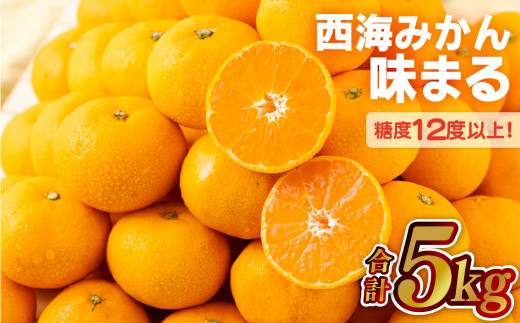 C328 西海みかん｢味まる｣