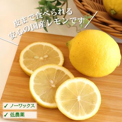 ふるさと納税 日高町 【ノーワックス】国産 紀州 レモン 約5kg(サイズおまかせ) |  | 01