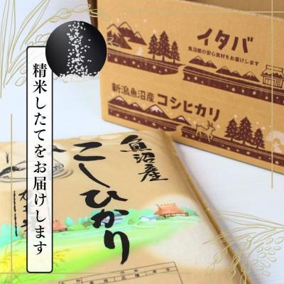 ふるさと納税 十日町市 【令和6年産】魚沼産コシヒカリかも米(精米)5kg |  | 02
