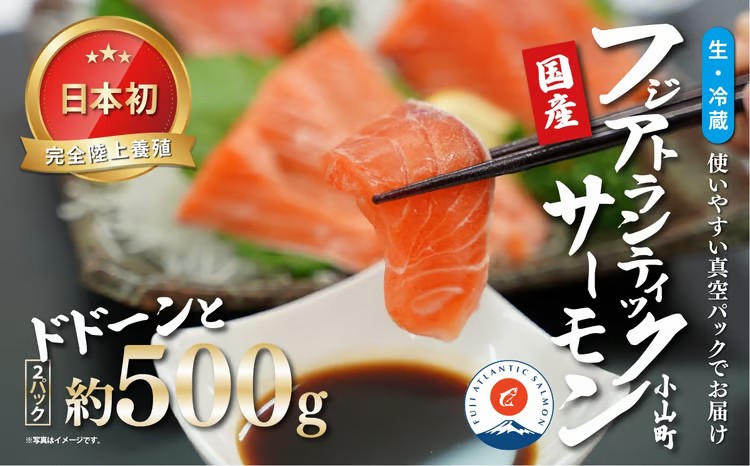 日本初 完全陸上養殖 フジアトランティックサーモン 生 ・冷蔵 2パック 約500g