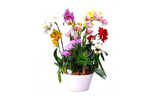 写真はイメージです。