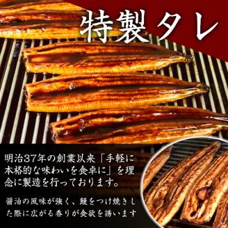 【土用の丑の日対応6/30入金まで】鹿児島県大隅産うなぎ蒲焼８尾（1.2kg）【国産】