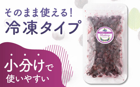 【12回定期便】大粒 冷凍ブルーベリー 約2000g（約500g×4pc）【すみれファーム】果物 フルーツ くだもの 大粒 小分け 熊本県産ブルーベリー [ZEP018]