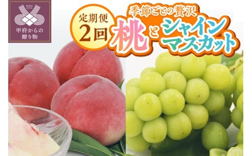 〈2026年度配送分〉甲府市産　フルーツ定期２回便　もも×シャインマスカット
