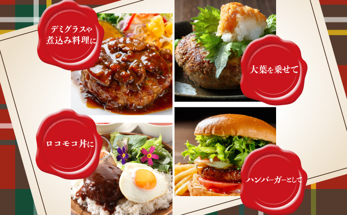 【佐賀産和牛】ハンバーグ 120g×5個 B-976