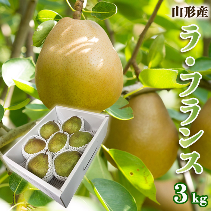 山形のラ・フランス 秀 約3kg(6～9玉・3L～6L)[12月発送]【令和8年産先行予約】FS25-779