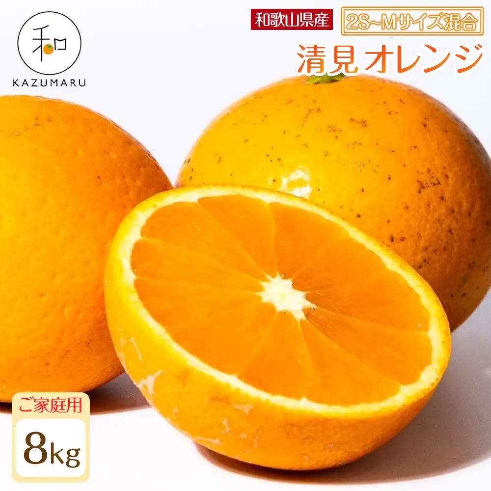 家庭用 森本農園の手選別 小粒清見オレンジ 約8kg 和歌山県産 2S～Mサイズ混合 ［北海道・沖縄・離島配送不可］［2027年2月上旬から順次発送予定］［RN94］