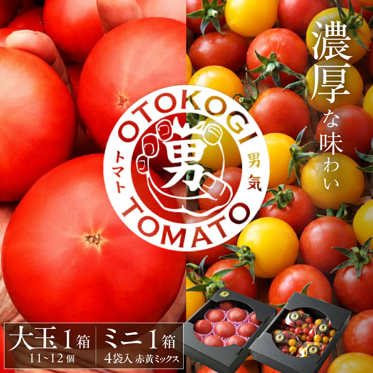 【ふるさと納税】【限定20】男気トマトミニ 大玉トマト セット 各1箱 | トマト ミニトマト プチトマト 先行予約 野菜 リコピン 有機肥料 濃厚 完熟 低農薬栽培 無かん水栽培 凝縮 産地直送 話題 青空レストラン 受賞 大賞 人気 ギフト 贈り物 手土産 手島農園 埼玉県 桶川市