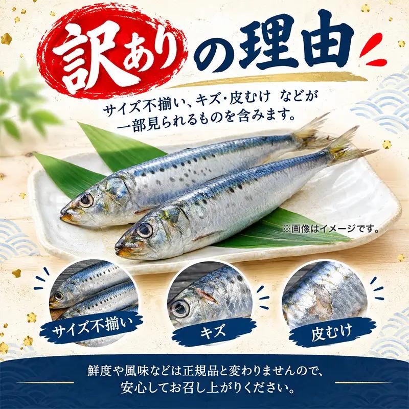 いわし 訳あり 約2kg 無塩 イワシ 南伊勢町