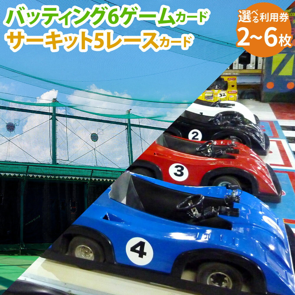 【ふるさと納税】バッティング 6ゲームカード ＋ サーキット 5レースカード 大和レジャー スポーツプラザ ビッグバン 〈選べる枚数〉 1枚セット ／ 2枚セット ／ 3枚セット 野球 打撃練習 チケット 利用券 室内 スポーツ アミューズメント 神奈川県 大和市 送料無料