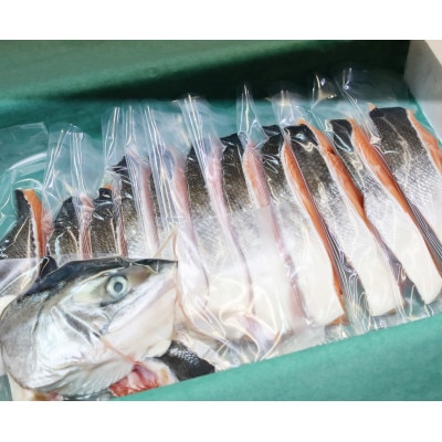 先行受付 活〆 時知らず 鮭切り身 中塩仕込 天然 半身 1100g 小分け  知床斜里産【配送不可地域：離島・沖縄県】