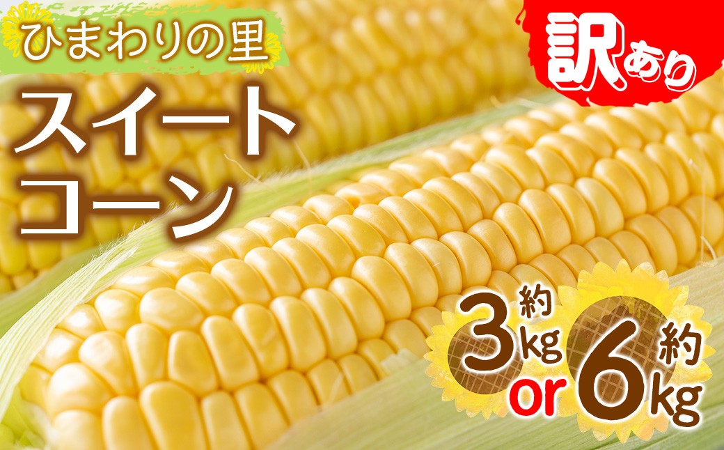 
                  ＜先行予約！2026年6月上旬以降順次発送予定＞＜訳あり・家庭用＞イエローコーン(約3kg・約6kg) とうもろこし トウモロコシ コーン スイートコーン 野菜 農作物 産地直送 【man114・man115】【Aglio nero】
                