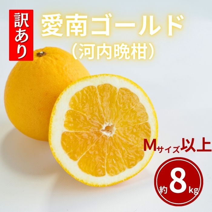 【ふるさと納税】 先行予約 訳あり 愛南ゴールド 8kg Mサイズ以上 河内晩柑 柑橘 フルーツ 果物 蜜柑 みかん くだもの 家庭用 傷 不揃い サイズミックス かわち ばんかん 和製 グレープフルーツ デザート甘い ジューシー 特産品 国産 農園 直送 愛媛県 愛南町 和家農園