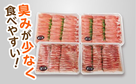 【3回定期便】ながさき健王豚しゃぶしゃぶ用(ロース:400g×2パック・バラ:350g×2パック)　/　豚　豚肉　しゃぶしゃぶ　ロース　バラ　うす切り　/　諫早市　/　長崎県央農業協同組合Aコープ本部