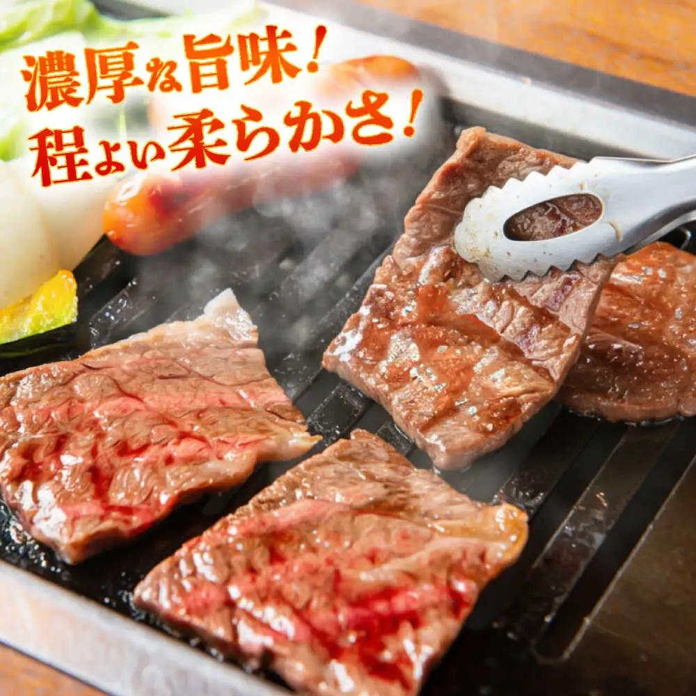 全3回定期便 熊本あか牛 焼肉 用カット(バラ ロース) 約500g 焼肉 BHCY046