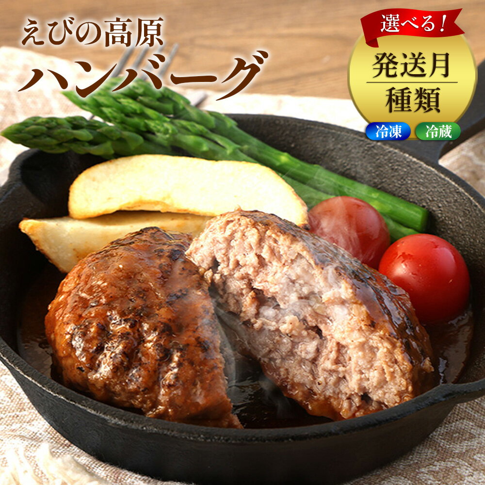 【ふるさと納税】選べる！ハンバーグ セット 冷凍(130g × 10パック 計 1,300g)冷蔵(200g × 6パック 計 1,200g) ギフト レンジ 湯煎 温めるだけ 簡単調理 小分け 個包装 総菜 簡単 おかず レトルト 人気 お取り寄せ 九州 宮崎県 えびの市 送料無料