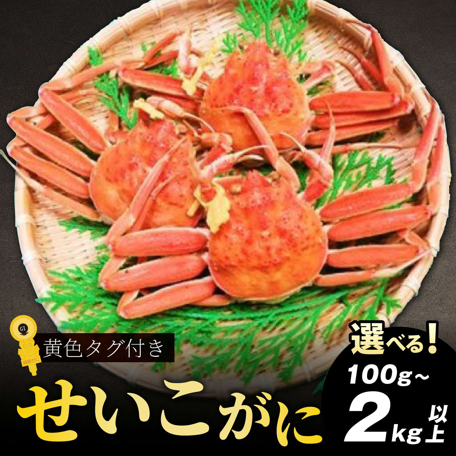 【ふるさと納税】【先行予約】黄色タグ付き せいこがに 100g～2kg以上 【選べる配送月・容量・杯数】【11～12月配送】/ セイコガニ せいこ蟹 セコガニ 雌 ずわいがに ズワイ蟹 越前ガニ ボイル 冷蔵 ご自宅用 カニ しゃぶしゃぶ 海鮮 カニすき カニ鍋 国産南越前町 送料無料