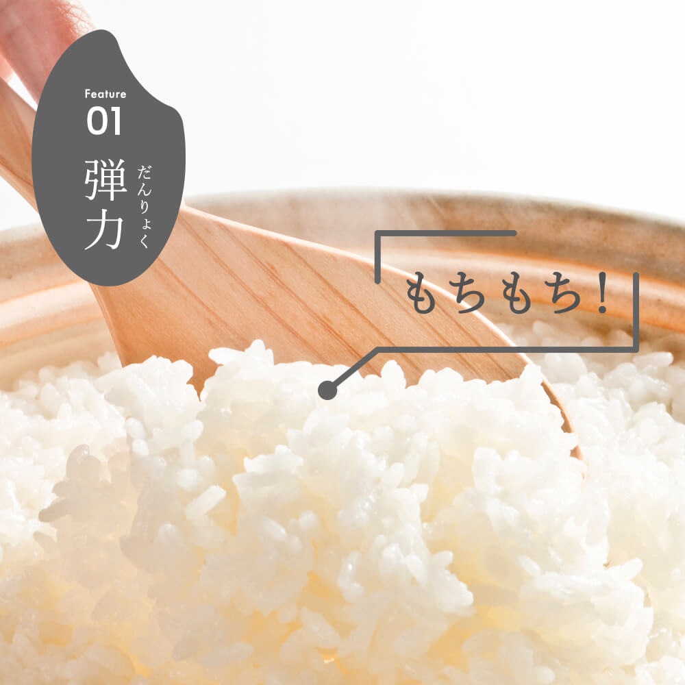 令和7年産 新潟県産 こしいぶき 10kg 精米 新米 お米 白米 コシヒカリ こしひかり おすすめ 人気 こめ コメ 新潟 見附 見附市 7年 2025年産 ふるさと納税 諸長