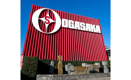 スキー板 KEO’S KS-UQ / RD　スキー ウィンタースポーツ スポーツ アウトドア 日本製 長野 160cm規