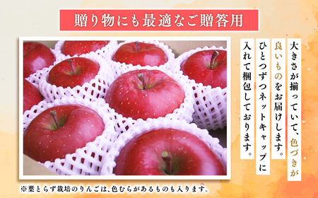 １０月・１１月発送　贈答用おいらせ5ｋｇ　【そと川りんご園・１０月・１１月・青森県産・平川市・りんご・おいらせ・5ｋｇ・贈答用】