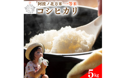 【 単品 5kg 】コシヒカリ 令和7年産 阿波ノ北方米 1等 米 こめ ご飯 ごはん おにぎり 白米 精米 卵かけご飯 食品 備蓄 備蓄米 保存 防災 ギフト 贈答 プレゼント お取り寄せ グルメ 