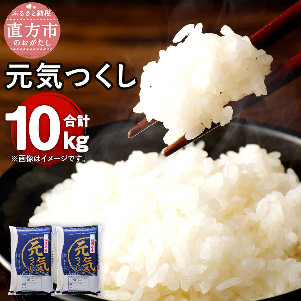 【ふるさと納税】【令和6年産】福岡県産 元気つくし 研ぐお米 合計10kg 5kg×2 お米 精米 米 ご飯 10キロ 九州産 国産 送料無料