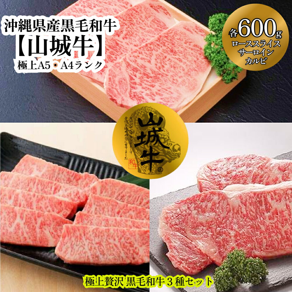 【ふるさと納税】A5・A4　沖縄県産黒毛和牛《山城牛》贅沢3種セット（各600g）