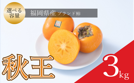 【先行予約】【2026年10月下旬から11月末発送】福岡限定!ブランド柿「秋王(あきおう)」約3kg(8-12玉) NGK003