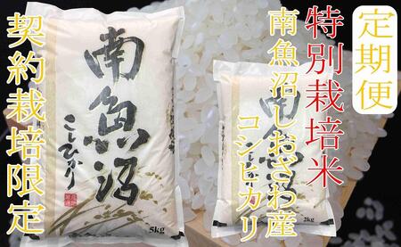 【令和7年産】※定期便：20Kg×3ヶ月※特別栽培 生産者限定  南魚沼しおざわ産コシヒカリ【2025年10月上旬より順次発送予定】