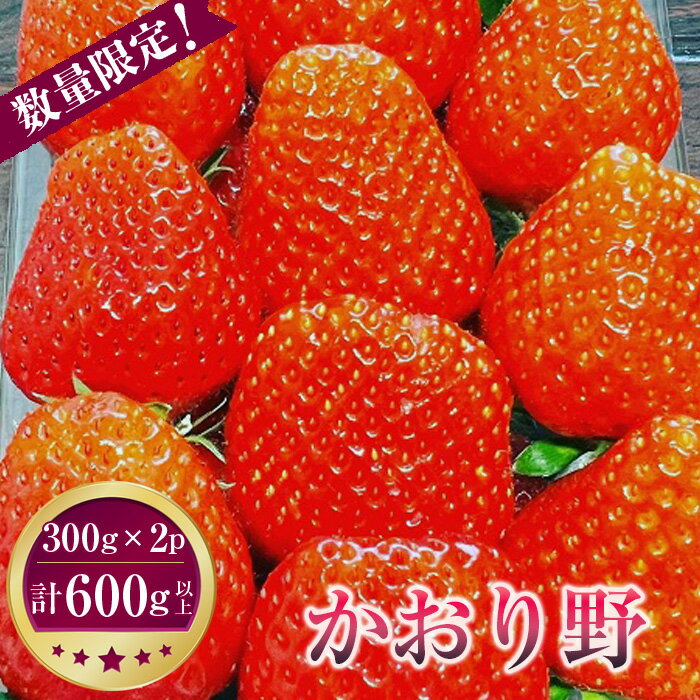 【ふるさと納税】 先行予約［坂東市産］かおり野　300g×2パック　計600g以上　朝採り直送 ／ いちご イチゴ 苺 甘み 送料無料 茨城県 No.268