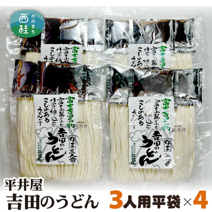【ふるさと納税】 No.355 吉田のうどん3人前平袋×4パック（3人前×4パック） ／ 麺 乱切り麺 送料無料 山梨県 特産品
