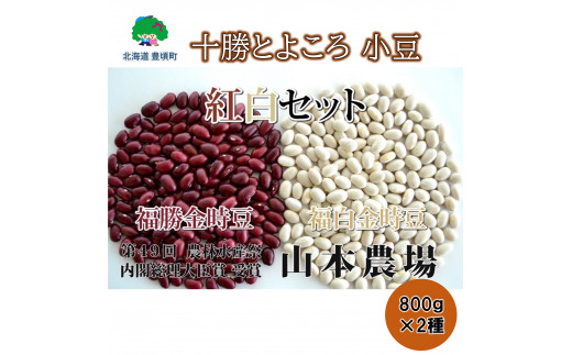 
山本農場 十勝とよころの金時豆 紅白詰合せ 800g×2種[№5891-0281]
